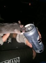 drunk fink.jpg