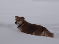 IMG_0274.JPG
