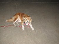 IMG_0441.JPG