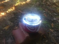 ImageUploadedByTapatalk1383196666.844170.jpg