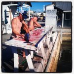 Fishermen cleaning fish_04-28-2013_032.jpg
