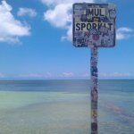 Imul Sporkit_04-23-2013_019.jpg
