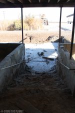 Stairs to salt_12-29-2011_037.jpg