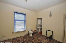 578-3362127-At_least_you_won_t_get_cold_feet_This_bathroom_comes_carpeted_wi-a-124_1450427145124.jpg