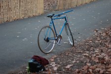 IMG_9878.JPG