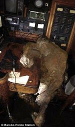 0578-3469044-His_decomposing_body_was_found_near_to_the_radio_telephone_as_if-a-21_1456736069055.jpg