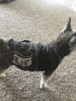 image.jpeg