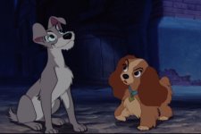 lady-and-the-tramp-disneys-lady-and-the-tramp-9960500-720-480.jpg