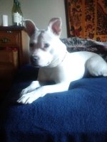 IMG_20160218_163351030.jpg