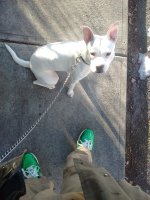 IMG_20160207_084130276.jpg