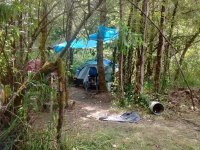 IMG_20160613_151958.jpg