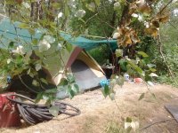 IMG_20160613_151524.jpg