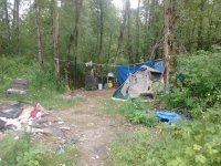 IMG_20160613_151432.jpg