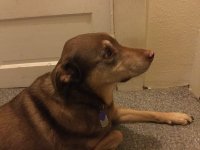 image.jpeg
