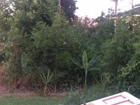 IMG_4281.JPG