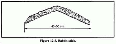 fig12-5.gif