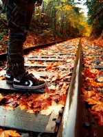 autumn.jpg