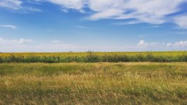 IMG_20160818_111523.jpg
