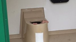 image.jpeg