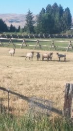 20160825_103048.jpg
