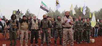 sdf-announce-banner.jpg