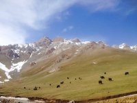 IMG_1807.jpg