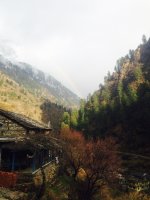 IMG_1287.jpg