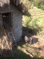IMG_0213.jpg