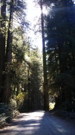 20160926_145326.jpg