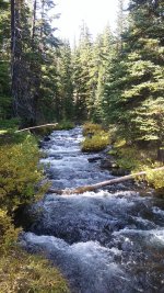 20161008_153651.jpg