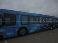 gillig.jpg