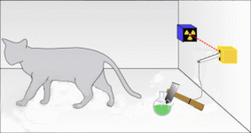 Decay_cat.gif