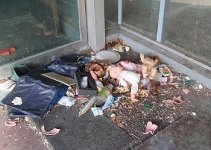 20130429_plastictrash.jpg