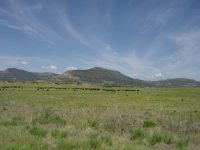new mexico (23).jpg