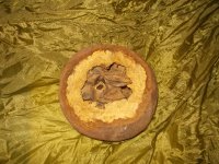 peru brazil nuts (2).JPG