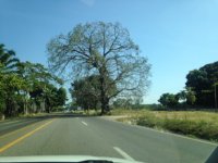 IMG_0412.JPG