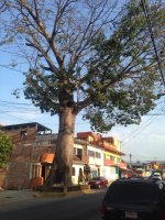 IMG_0427.JPG