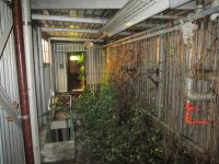 IMG_0575[1].JPG
