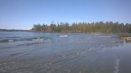 WP_20170223_10_14_31_Pro.jpg