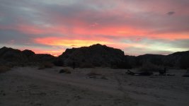 IMG_20170109_063633282.jpg