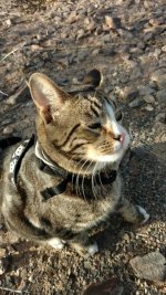 IMG_20170110_160908364.jpg