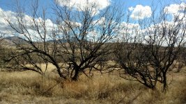 IMG_20170117_131114210.jpg