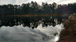 IMG_20170217_083312568_HDR.jpg