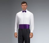 CummerbundPurpleSatin.jpg