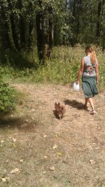 20170815_125904.jpg