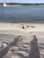 IMG_6456.jpg
