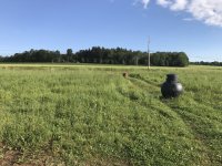IMG_0018.JPG