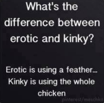 EROTIC VS KINKY.png