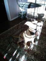 IMG_20170917_075513.jpg