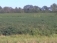 IMG_20170916_172754.jpg